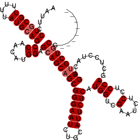 secondary structure