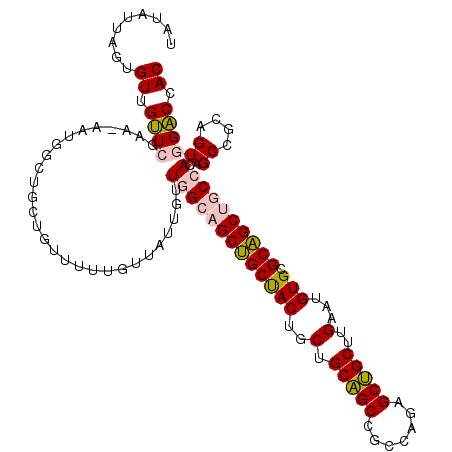 secondary structure