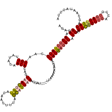 secondary structure