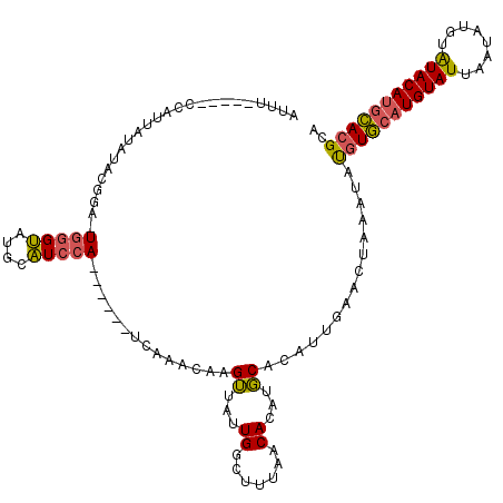 secondary structure