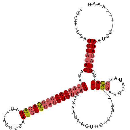 secondary structure