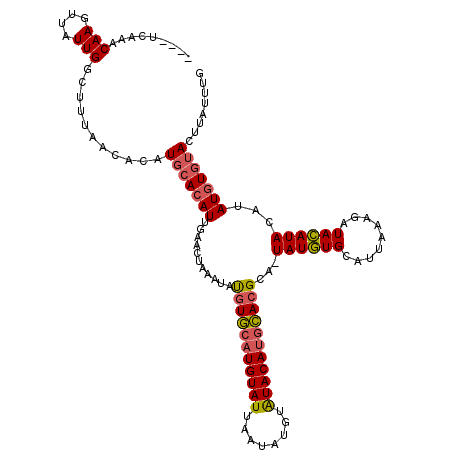 secondary structure