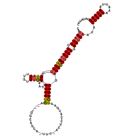 secondary structure