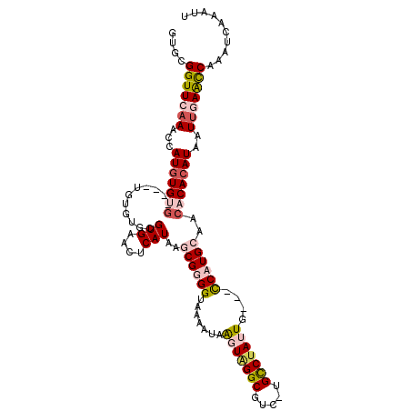 secondary structure