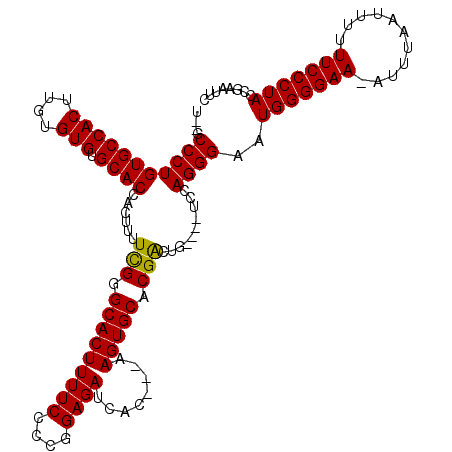 secondary structure