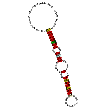 secondary structure