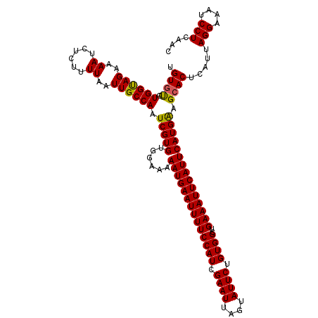 secondary structure