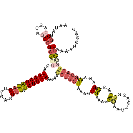 secondary structure