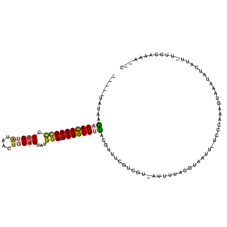 secondary structure