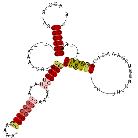 secondary structure