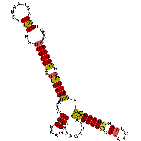 secondary structure