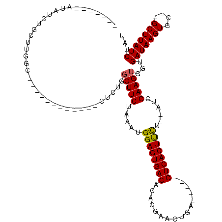 secondary structure