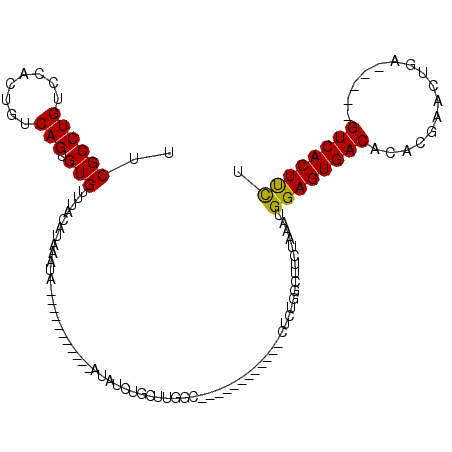 secondary structure