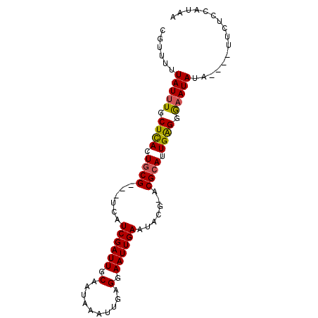 secondary structure
