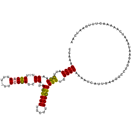 secondary structure