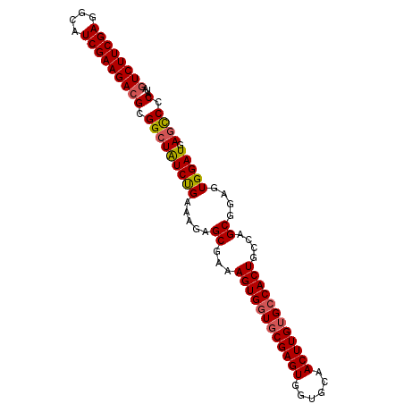 secondary structure