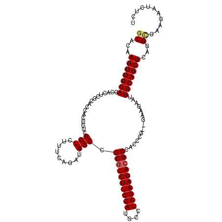 secondary structure