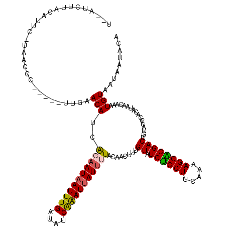 secondary structure