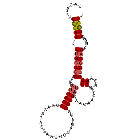 secondary structure