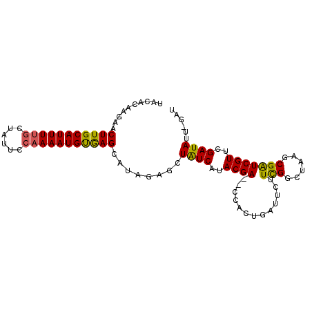 secondary structure