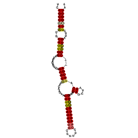 secondary structure