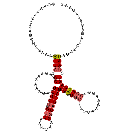 secondary structure