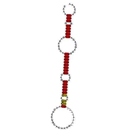 secondary structure