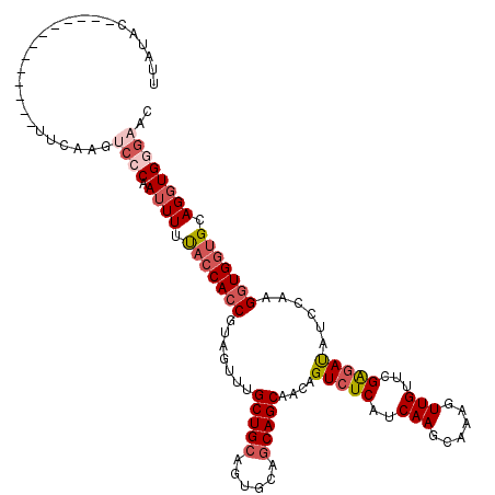 secondary structure
