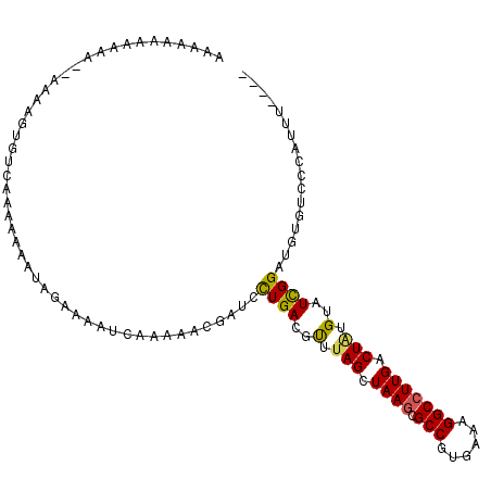 secondary structure