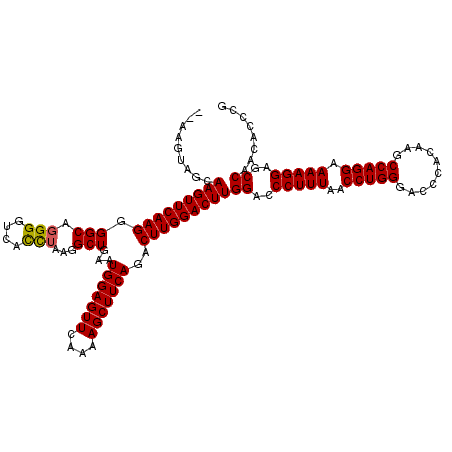secondary structure