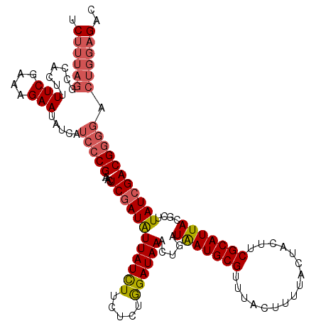 secondary structure