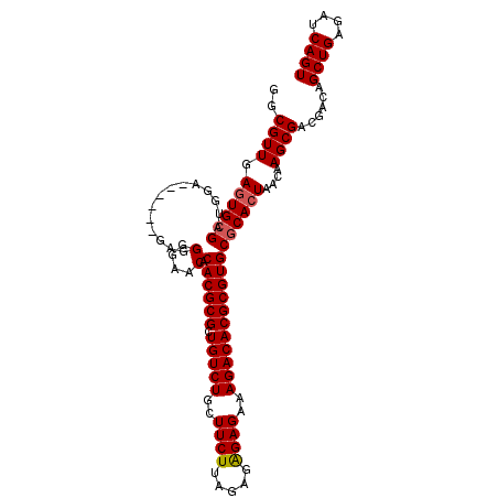 secondary structure