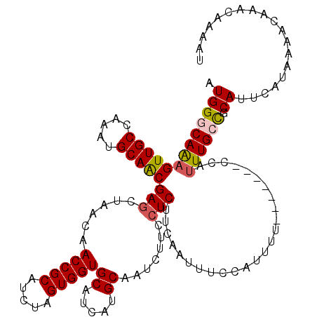 secondary structure