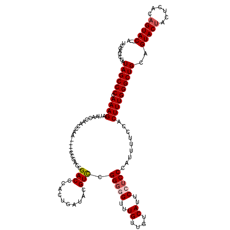 secondary structure