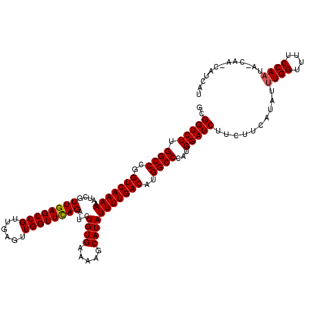 secondary structure