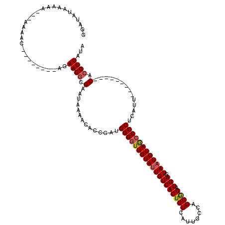 secondary structure