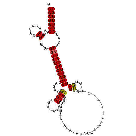 secondary structure