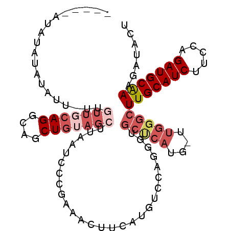 secondary structure