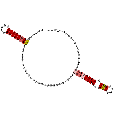 secondary structure
