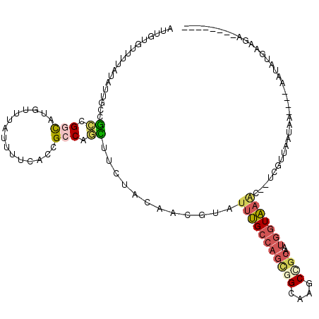 secondary structure
