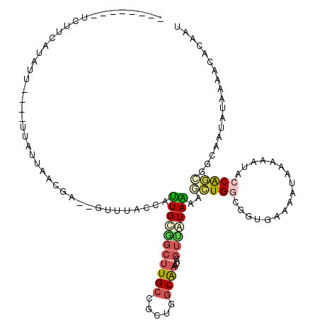 secondary structure