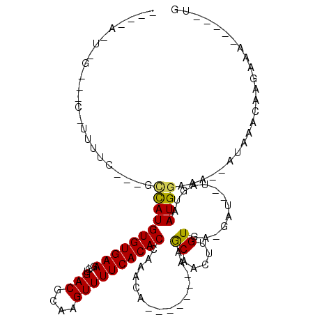 secondary structure