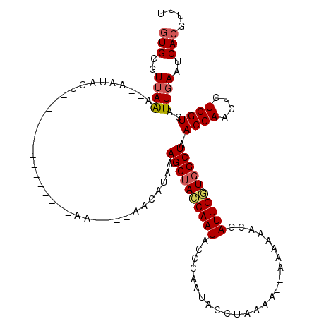 secondary structure