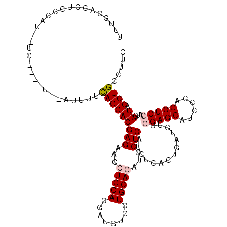 secondary structure