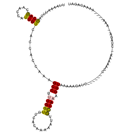 secondary structure