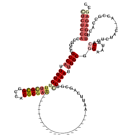 secondary structure