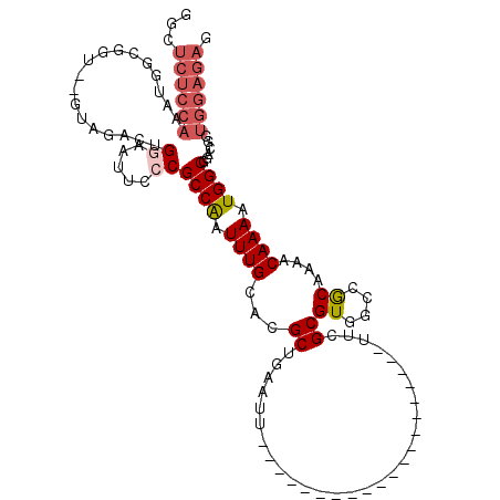 secondary structure
