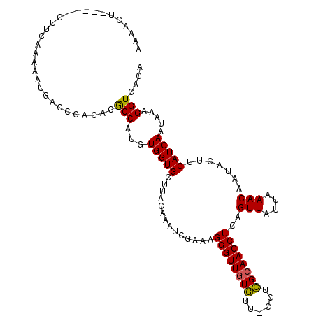 secondary structure
