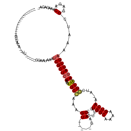 secondary structure