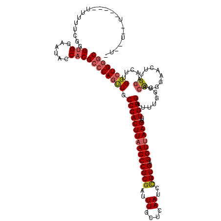 secondary structure